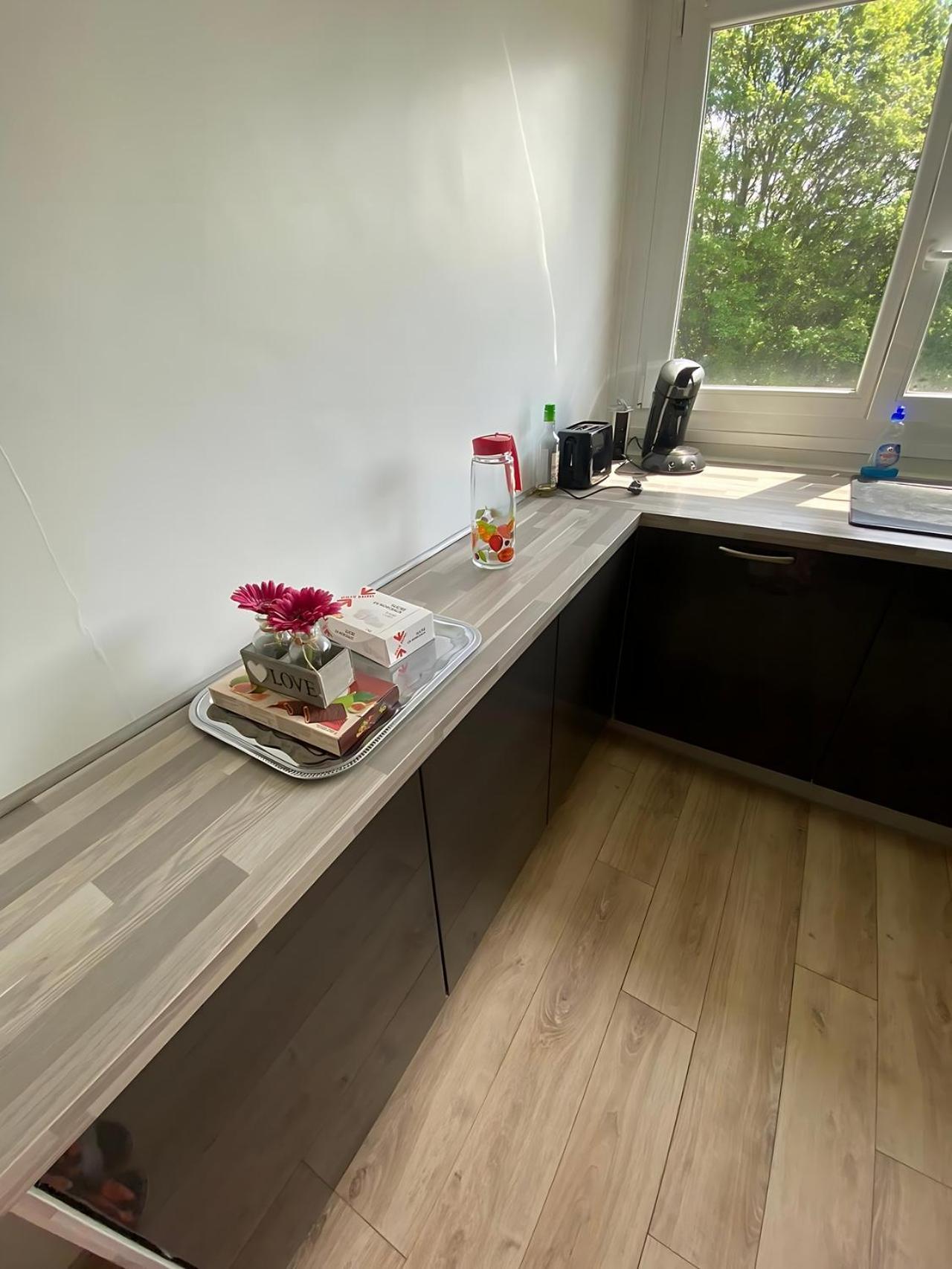 Vue Du Doubs T4 Cosy Tres Bien Situe Apartment Audincourt Ngoại thất bức ảnh